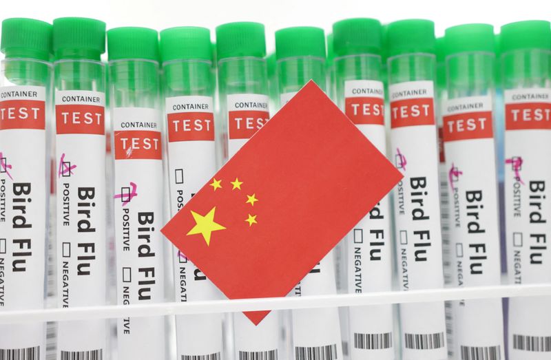 &copy; Reuters. Test tubes labelled "Bird Flu" and a piece of paper in the colours of the Chinese national flag are seen in this illustration, January 14, 2023. REUTERS/Dado Ruvic/Illustration