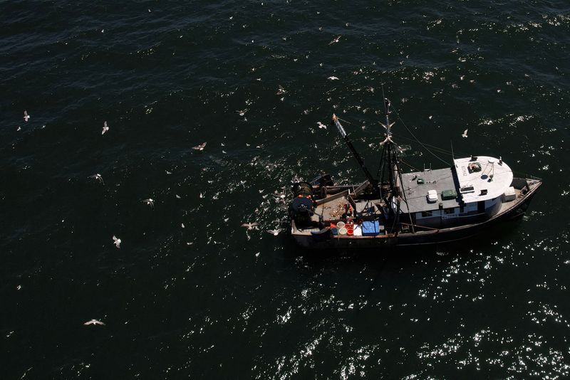 &copy; Reuters. Birds fly around a fishing boat in the waters off Point Judith in Narragansett, Rhode Island, U.S., July 7, 2022.   REUTERS/Brian Snyder