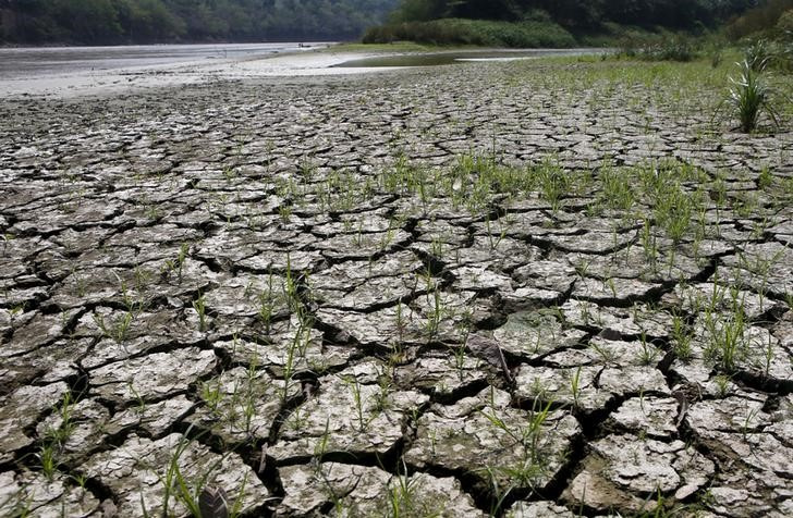 &copy; Reuters. FOTO DE ARCHIVO REFERENCIAL. Un área queda al descubierto por la baja del nivel del agua del río Magdalena, el río más largo e importante de Colombia, debido a la falta de lluvia, en la ciudad de Honda. Mientras que las inundaciones y lluvias intensas