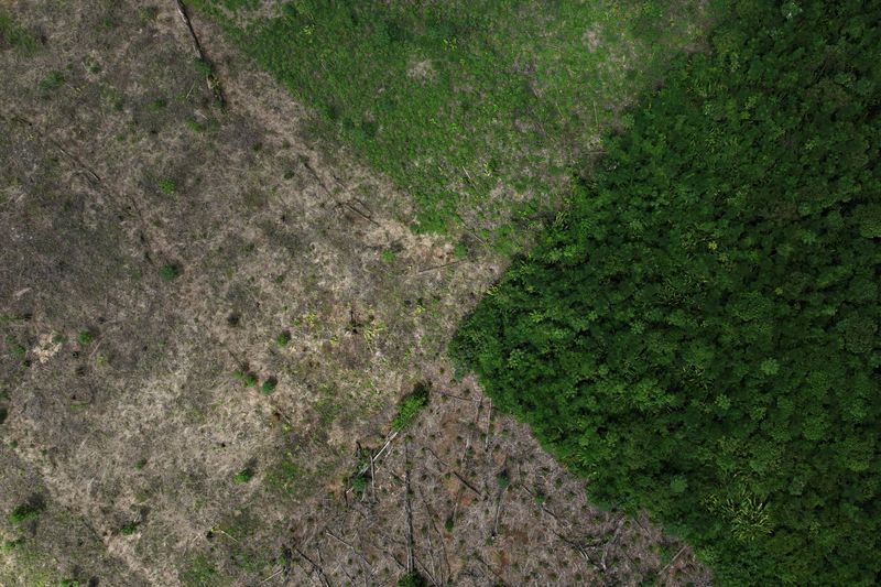 &copy; Reuters. Vista aérea de área desmatada no Estado do Pará
21/01/2023
REUTERS/Ueslei Marcelino