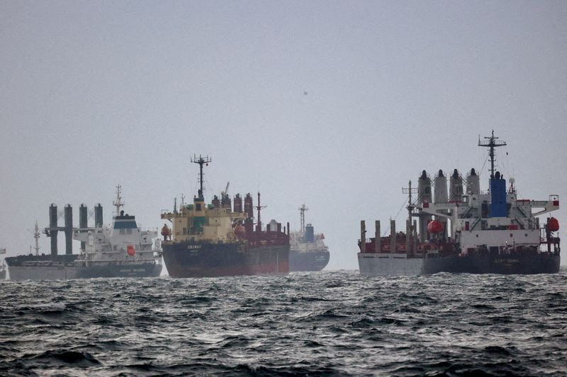 © Reuters. سفن  تنتظر التفتيش في إطار مبادرة حبوب البحر الأسود  التي توسطت فيها الأمم المتحدة وتركيا  في المرسى الجنوبي في مضيق البوسفور في إسطنبول بتركيا يوم 11 ديسمبر كانون الأول 2022. تصوير: يوروك إيشيك - رويترز.
