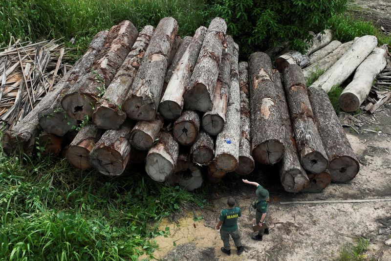 &copy; Reuters. 欧州議会は１９日、森林破壊に関係した農畜産物など産品類の欧州連合（ＥＵ）域内への輸入を禁止する森林破壊防止法を承認した。違法伐採を調べるブラジル政府系機関の職員、アマゾン