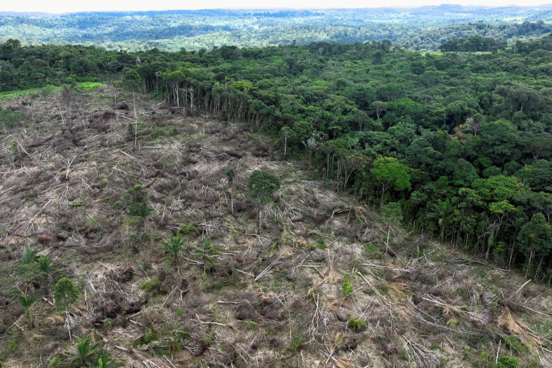 &copy; Reuters. Vista aérea de trecho desmatado no estado do Pará
21/01/2023
REUTERS/Ueslei Marcelino