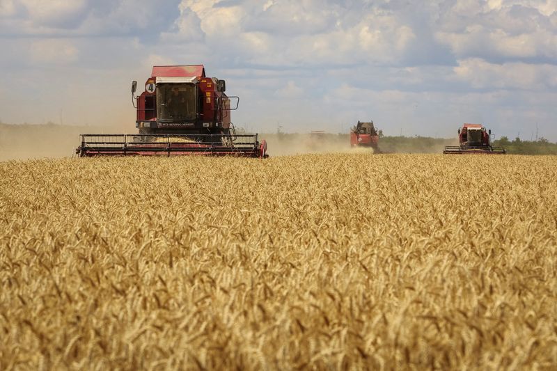 &copy; Reuters. Colheita de trigo na região de Zaporizhzhi. REUTERS/Alexander Ermochenko
