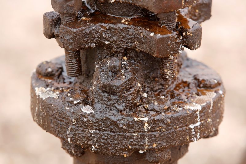 &copy; Reuters. FILE PHOTO: Crude oil and grease is seen caked on a pump jack in the Permian Basin in Loving County, Texas, U.S. November 25, 2019. REUTERS/Angus Mordant