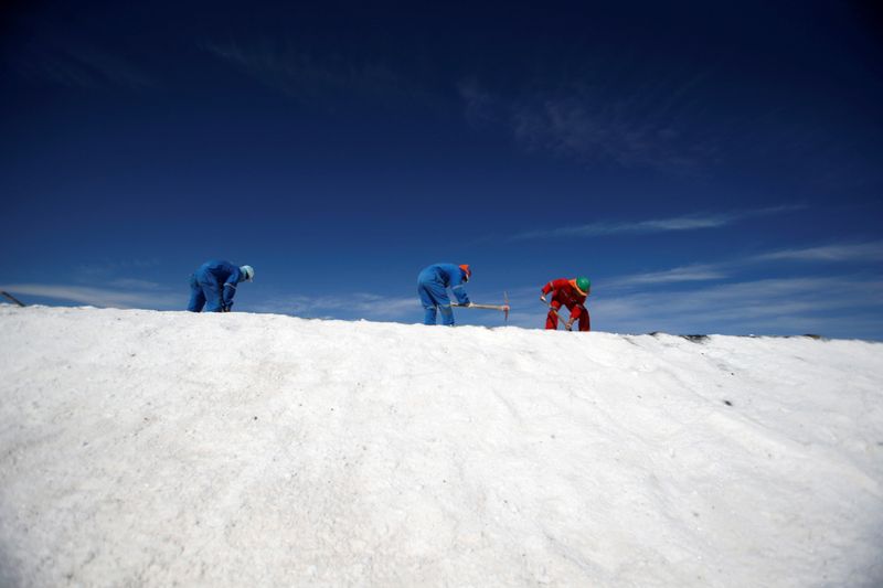 &copy; Reuters. FILE PHOTO: Laborers work at a lithium plant on the Atacama salt flat in the Atacama desert of northern Chile January 8, 2013.  Picture taken January 8, 2013. REUTERS/Ivan Alvarado