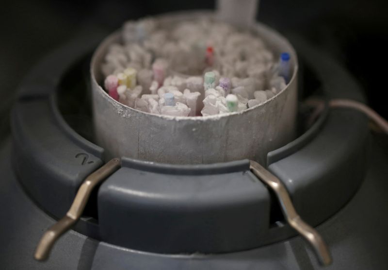 &copy; Reuters. Frascos com esperma congelado dentro de recipiente congelado em laboratório em Paris
13/09/2019 REUTERS/Christian Hartmann