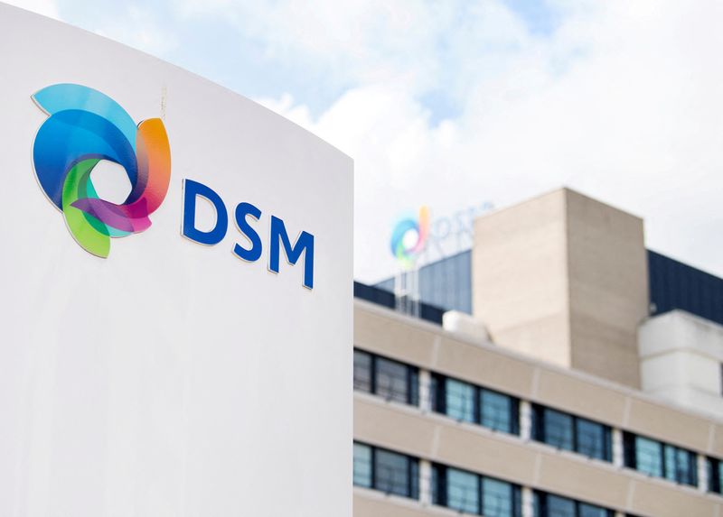 &copy; Reuters. FILE PHOTO: DSM logo is seen at the headquarters in Heerlen, Netherlands August 30, 2018. REUTERS/Piroschka van de Wouw/File Photo