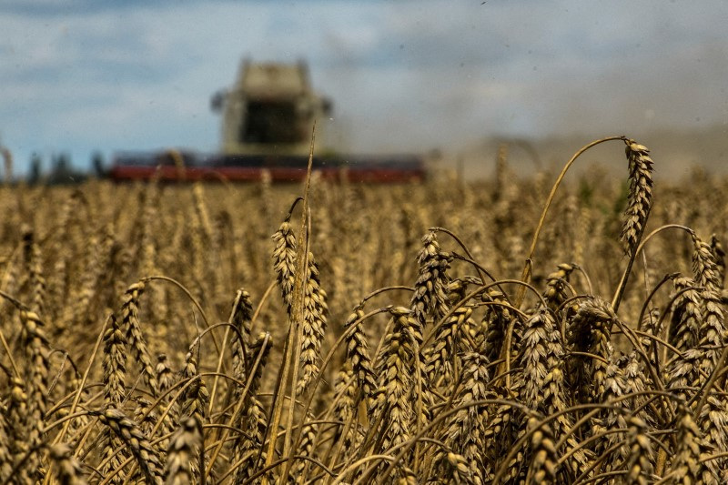 &copy; Reuters. FOTO DE ARCHIVO. Una cosechadora recoge trigo en un campo cerca del pueblo de Zghurivka, en medio del ataque de Rusia a Ucrania, en la región de Kiev, Ucrania