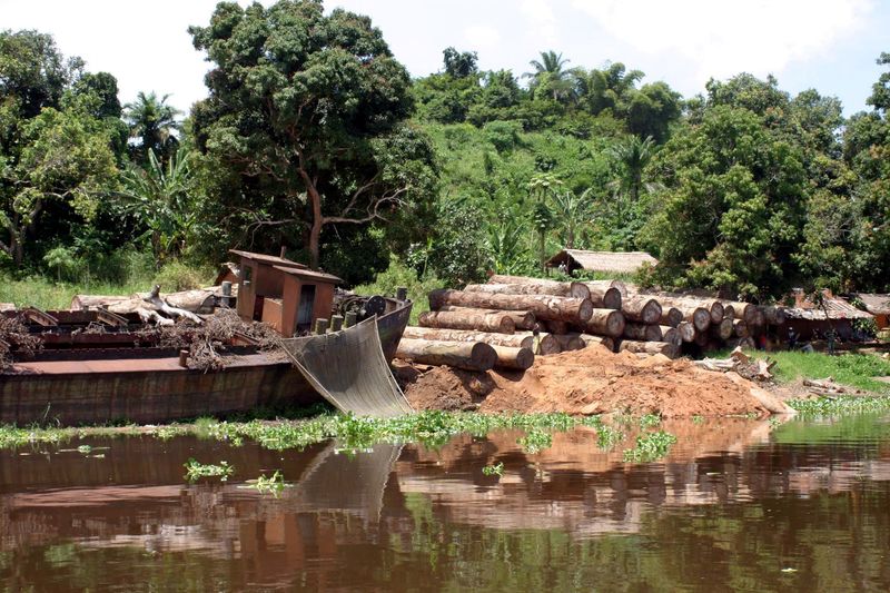 &copy; Reuters. Toras de madeiras nas margens do rio Congo
07/10/2004 REUTERS/David Lewis