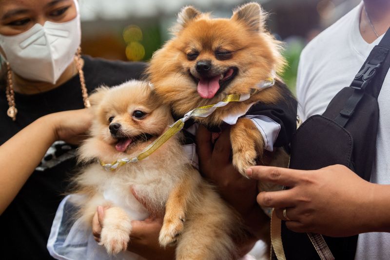 © Reuters. Donos de animais de estimação carregam cães em shopping nas Filipinas
02/10/2022
REUTERS/Lisa Marie David