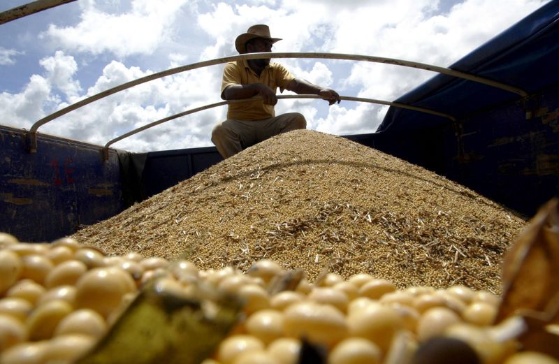 &copy; Reuters. Caminhão carregado com soja nas lavouras de Lucas do Norte, no Mato Grosso
18/03/2004