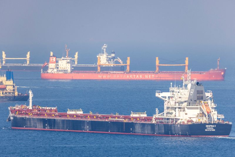 &copy; Reuters. FILE PHOTO: Cargo ship Despina V, carrying Ukrainian grain, is seen in the Black Sea off Kilyos near Istanbul, Turkey November 2, 2022. REUTERS/Umit Bektas/File Photo