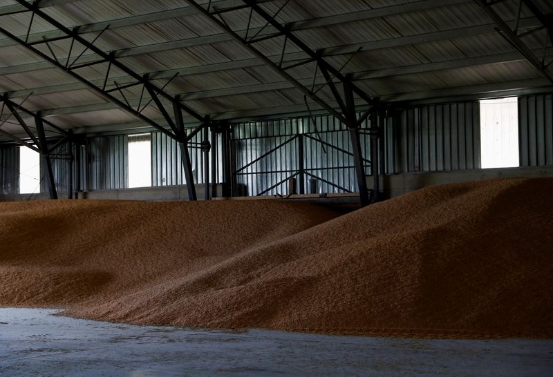 Why eastern Europe's grain producers face a perfect storm