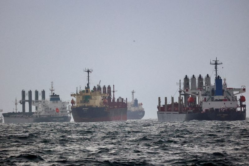 &copy; Reuters. Navios aguardam inspeção sob a Iniciativa de Grãos do Mar Negro. REUTERS/Yoruk Isik/File Photo