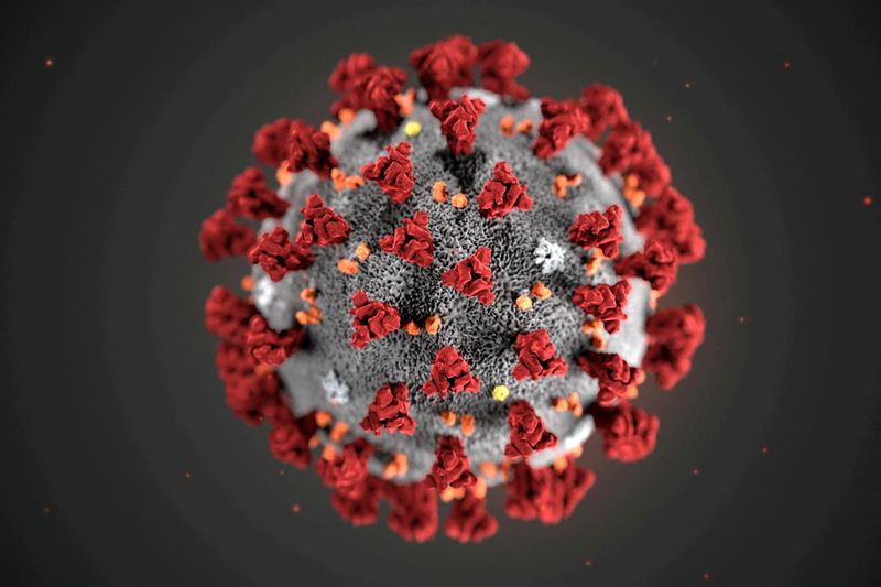 &copy; Reuters. FILE PHOTO: The ultrastructural morphology exhibited by the 2019 Novel Coronavirus  is seen in an illustration released by the U.S.Centers for Disease Control and Prevention (CDC) in Atlanta, Georgia, U.S. January 29, 2020. Alissa Eckert, MS; Dan Higgins,
