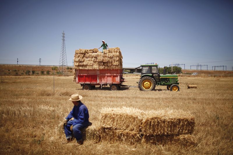 &copy; Reuters. FOTO DE ARCHIVO. Agricultores recogen pacas de heno en un campo en Antequera, cerca de Málaga, Andalucía, España