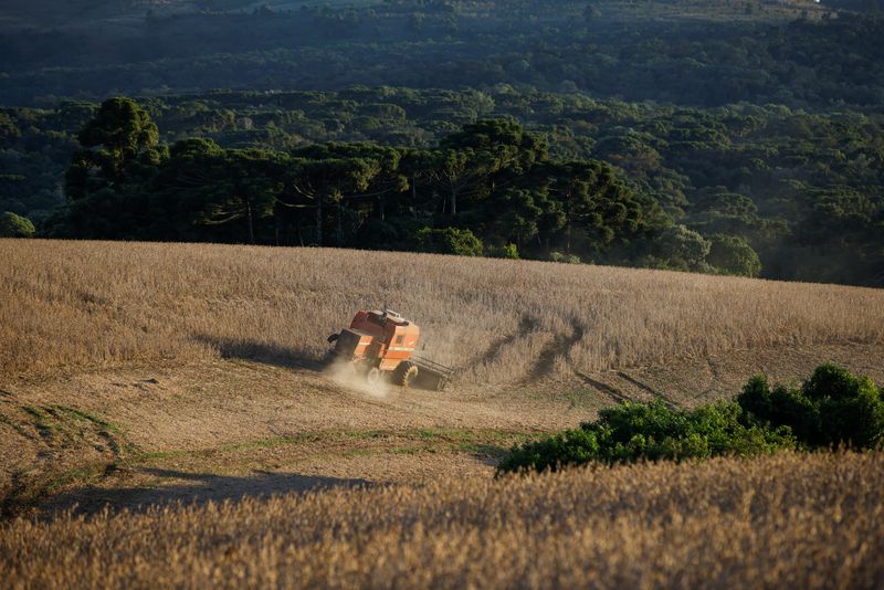 &copy; Reuters. FOTO DE ARCHIVO: Cosecha de soja en un campo de Ponta Grossa, estado de Paraná, Brasil. 25 de abril, 2023. REUTERS/Rodolfo Buhrer