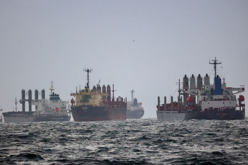 &copy; Reuters. FILE PHOTO: Vessels are seen as they wait for inspection under United Nation's Black Sea Grain Initiative in the southern anchorage of the Bosphorus in Istanbul, Turkey December 11, 2022. REUTERS/Yoruk Isik/File Photo