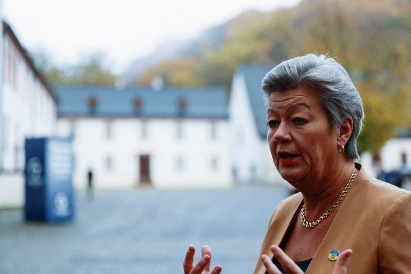 &copy; Reuters. FILE PHOTO: European Commissioner for Home Affairs Ylva Johansson arrives at the G7 interior ministers meeting session at Eberbach monastery, Eltville, Germany, November 18, 2022. REUTERS/Heiko Becker/File Photo
