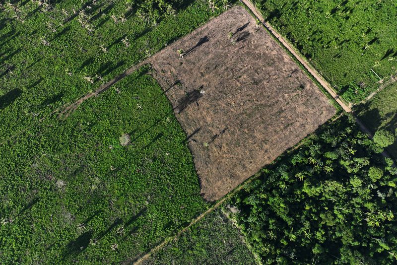 &copy; Reuters. Vista aérea de área da floresta amazôniz desmatada na reserva indígena Cachoeira Seca, em Uruará, no Pará
19/01/2023 REUTERS/Ueslei Marcelino