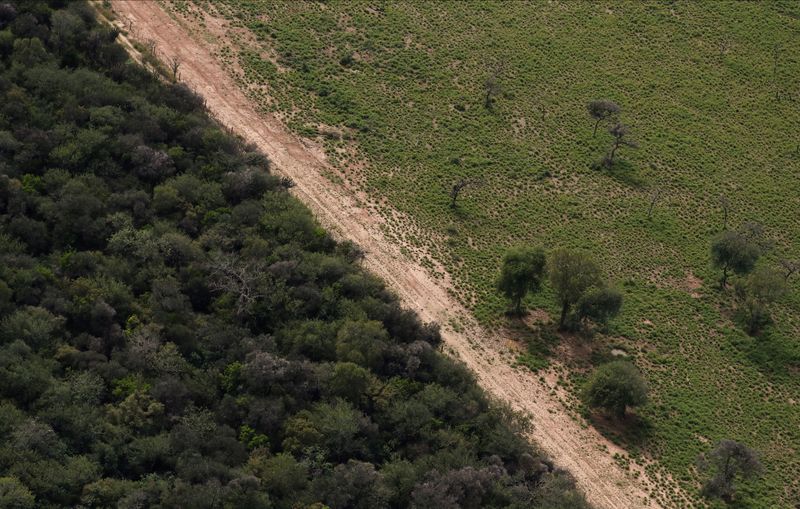 &copy; Reuters. An aerial view shows a deforested area next to a forest, as Argentina's native woodlands are under threat from the expansion of soy and cattle ranching, near Las Lomitas, Formosa, Argentina April 18, 2023. REUTERS/Agustin Marcarian