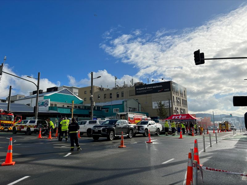 &copy; Reuters. طواقم الإنقاذ والإطفاء في موقع حريق بفندق لوفرز لودج في مدينة ويلينجتون في نيوزيلندا يوم الثلاثاء. تصوير: لوسي كريمير - رويترز