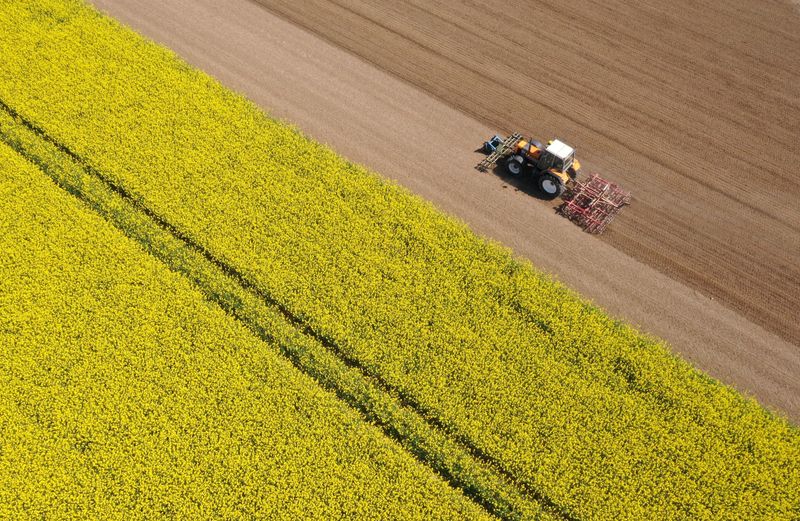 &copy; Reuters. FOTO DE ARCHIVO-Un agricultor conduce su tractor junto a un campo de colza en Ramillies, cerca de Cambrai, Francia. 3 de mayo de 2023. REUTERS/Pascal Rossignol
