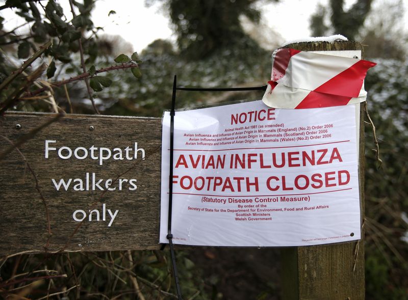 &copy; Reuters. Placa na beira de uma zona de contenção alerta para o fechamento de trilha após surto de gripe aviária no sul da Inglaterra
03/02/2015 
REUTERS/Peter Nicholls (REUTERS - Tags: ANIMALS FOOD ENVIRONMENT)