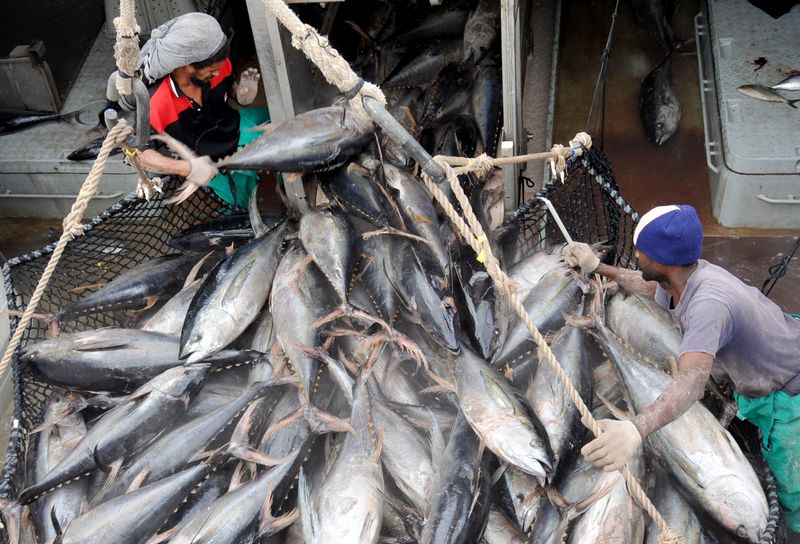 Naufrage d'un navire de pêche chinois dans l'océan Indien, 39 disparus