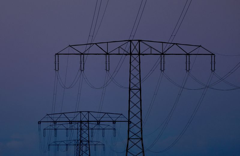 © Reuters. FILE PHOTO: Electrical power pylons with high-voltage power lines are seen near Weselitz, Germany November 18, 2022. REUTERS/Lisi Niesner