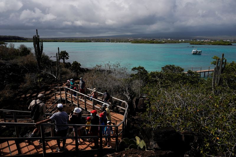 &copy; Reuters. FOTO DE ARCHIVO: Personas en un tour de naturaleza suben por una escalera en la isla Santa Cruz después de que Ecuador anunció la expansión de una reserva marina que abarcará 198.000 kilómetros cuadrados, en las Islas Galápagos, Ecuador. 16 de enero
