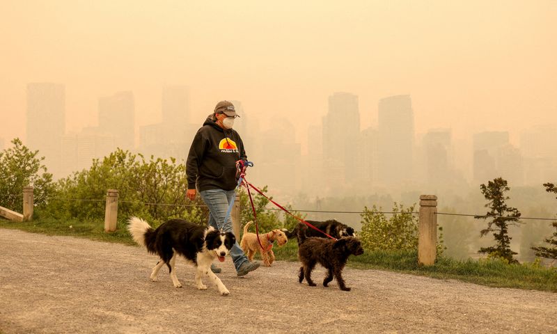 &copy; Reuters. FILE PHOTO: Leslie Kramer walk her dogs as some 90 wildfires are active in Alberta, with 23 out of control, according to the provincial government, in Calgary, Alberta, Canada May 16, 2023.  REUTERS/Leah Hennel/File Photo