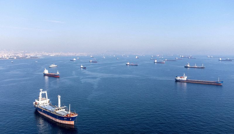 &copy; Reuters. FILE PHOTO: Commercial vessels including vessels which are part of Black Sea grain deal wait to pass the Bosphorus strait off the shores of Yenikapi during a misty morning in Istanbul, Turkey, October 31, 2022. REUTERS/Umit Bektas