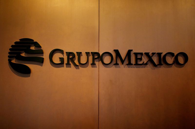 Mexico takes over part of Grupo Mexico railway, shares fall