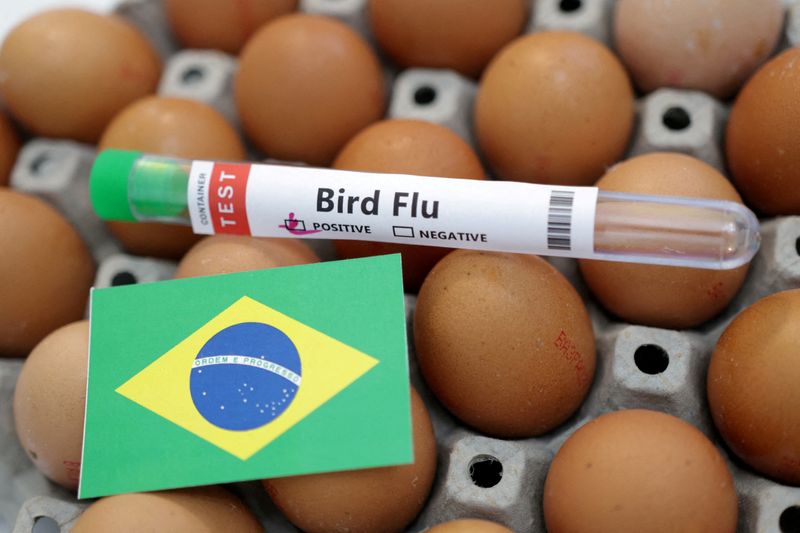 &copy; Reuters. 　ブラジル政府高官は２２日、鳥インフルエンザワクチンの接種は必然的に貿易障壁につながるため、同国はこれを感染制御の手段として望まないと述べた。写真は１月撮影（２０２３年　