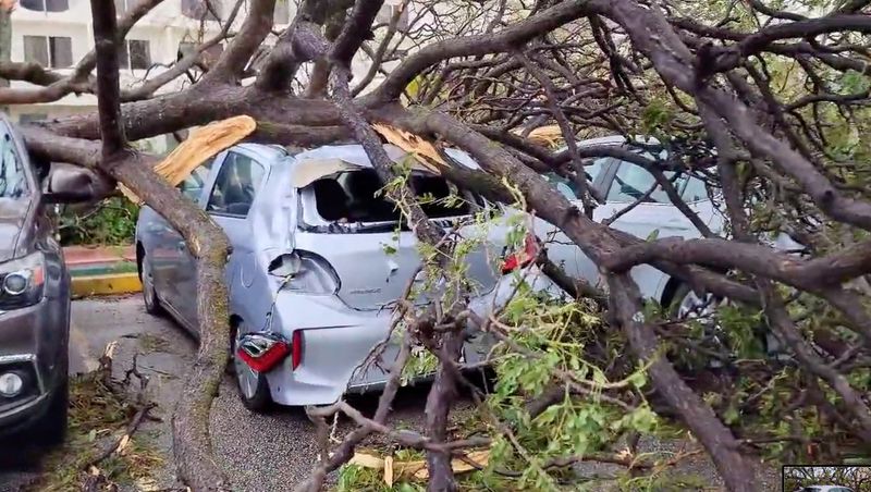 © Reuters. Trees are toppled on cars, in damage caused by Typhoon Mawar in Tamuning, Guam, May 25, 2023 in this screen grab obtained from a social media video. Tobias Alejandro/via REUTERS  