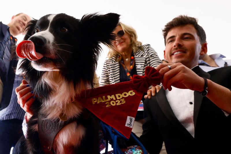 &copy; Reuters. Stan, un Border Collie, recibe el premio Palm Dog en nombre del perro Messi, que interpretó a Snoop en la película "Anatomie d'une chute" (Anatomía de una caída), en los Premios Palm Dog que tienen lugar en paralelo al 76º Festival de Cannes en Canne