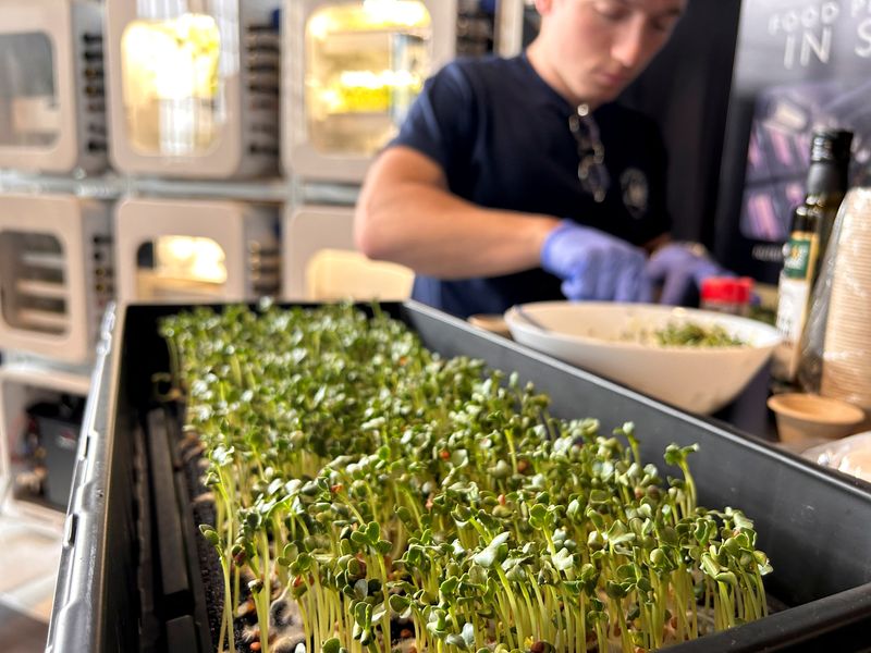 &copy; Reuters. A team member from Interstellar Lab of Merritt Island, Florida, prepares Daikon Radish sprouts during NASA’s Deep Space Food Challenge Phase 2 prize announcement on May 19, 2023. Teams from all over the world showcased some of their food production tech
