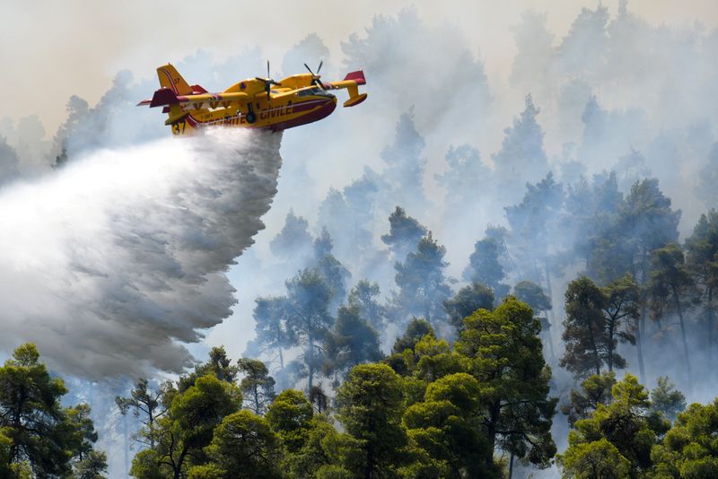 © Reuters. FILE PHOTO: A firefighting airplane makes a water drop as a wildfire burns near the village of Ellinika, on the island of Evia, Greece, August 8, 2021. REUTERS/Alexandros Avramidis    