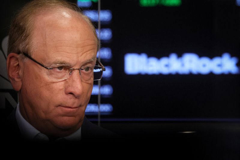 Presidente-executivo da BlackRock espera novos aumentos de juros nos EUA