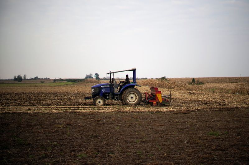 &copy; Reuters. Un agricultor maneja un tractor con una sembradora en un campo de trigo en Nanyang, provincia de Henan, China, el 13 de octubre de 2021. REUTERS/Aly Song