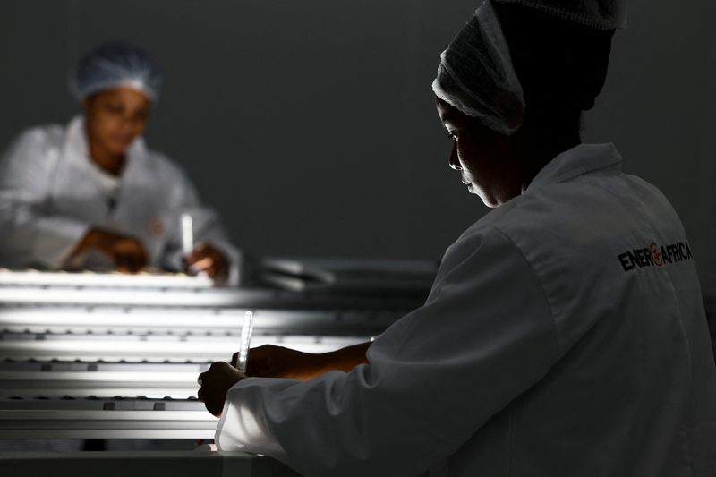 &copy; Reuters. FILE PHOTO: A woman tests LED lights on solar panels at their factory called Ener-G-Africa, where they produce high-quality solar panels made by an all-women team, in Cape Town, South Africa, February 9, 2023. REUTERS/Esa Alexander