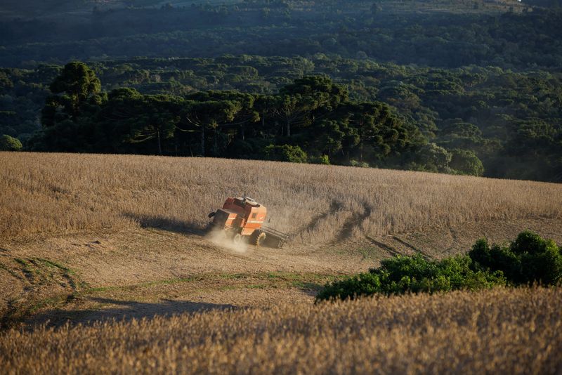 &copy; Reuters. Colheita de soja em fazenda de Ponta Grossa, no Paraná
25/04/2023
REUTERS/Rodolfo Buhrer