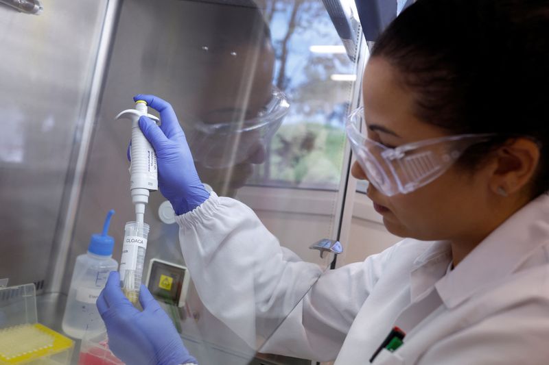 &copy; Reuters. Talita de Lima Freitas trabalha em teste de vírus de influenza aviária em laboratório de referência em Campinas
25/04/2023.
REUTERS/Amanda Perobelli