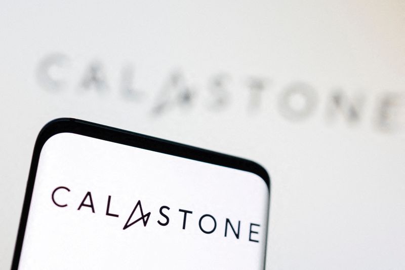 &copy; Reuters. FILE PHOTO: Calastone logo is displayed in this illustration taken September 5, 2022. REUTERS/Dado Ruvic/Illustration/File Photo