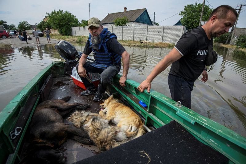 &copy; Reuters. متطوعون ينقذون كلابا كانت محاصرة في مياه الفياضانات بعد تدمير سد كاخوفكا في خيرسون بأوكرانيا يوم الأربعاء. تصوير:  فلاديسلاف موسيانكو - رويت