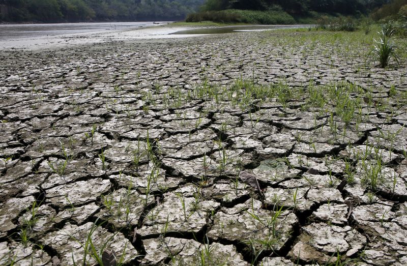 Extreme weather expected as El Nino climate pattern returns, US forecaster says