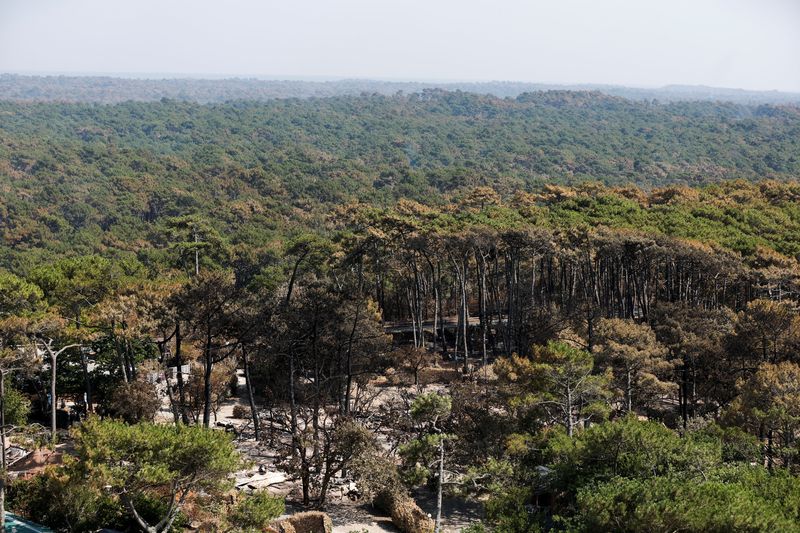 &copy; Reuters. Une vue générale du camping "Les Flots Bleus" ravagé par un incendie de forêt dans la forêt de La Teste-de-Buch près de la Dune du Pilat alors que les incendies de forêt continuent de se propager dans la région de la Gironde dans le sud-ouest de l