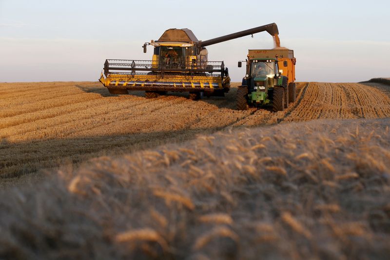 &copy; Reuters. FOTO DE ARCHIVO. Un agricultor francés conduce su cosechadora mientras cosecha trigo en un campo durante la puesta de sol en Trescault, cerca de Cambrai, en el norte de Francia. 5 de agosto de 2015. REUTERS/Pascal Rossignol